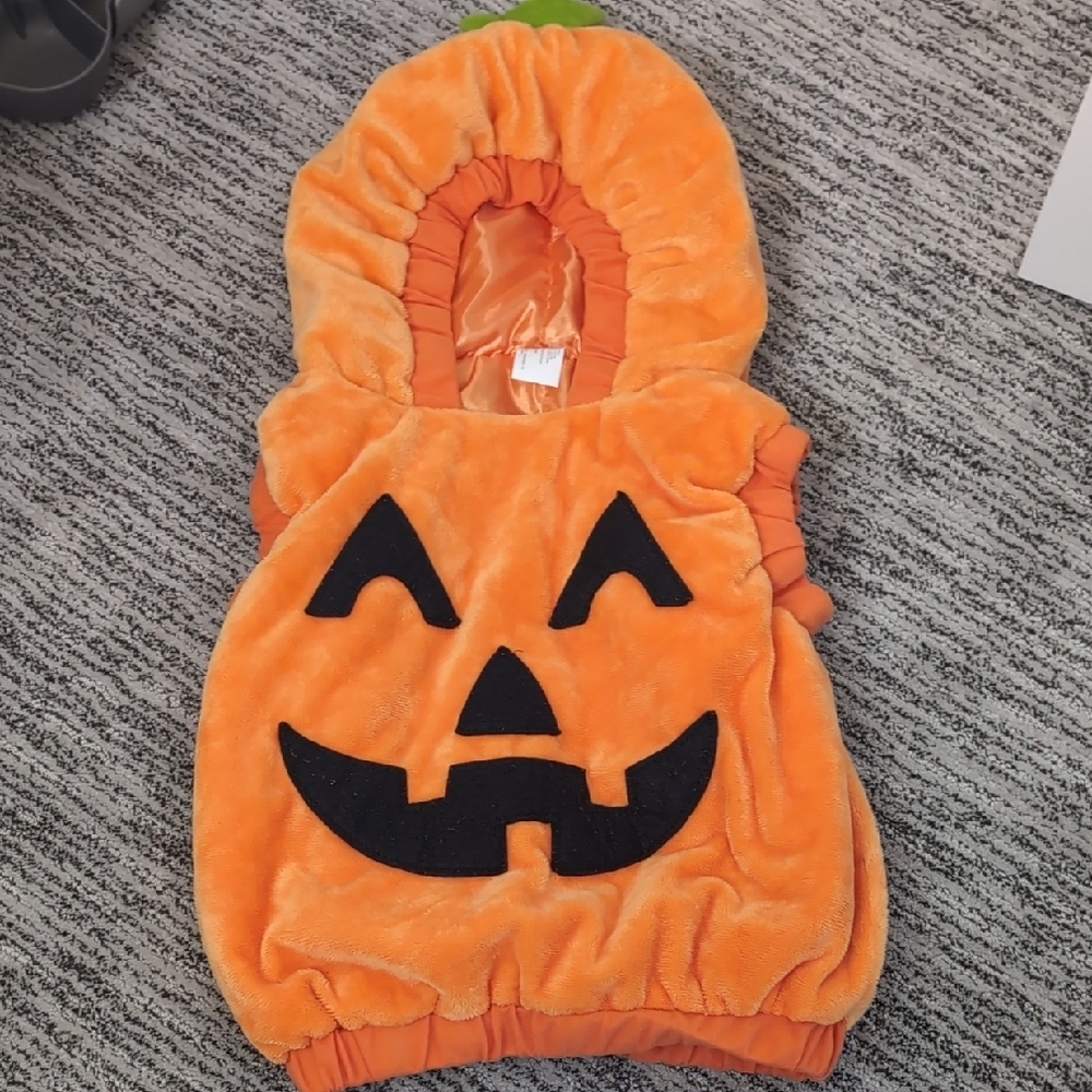 Kids Pumpkin Costume - Orange and Black